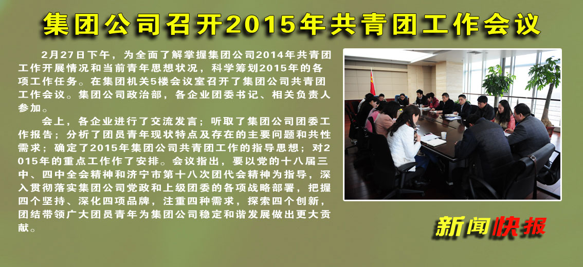 集团公司召开2015年共青团工作会议