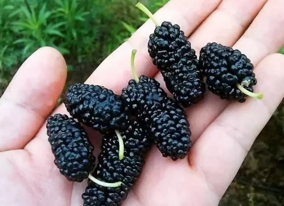 1624257131932996.png f473fc3a3884b1a99a04bfae3112858.png