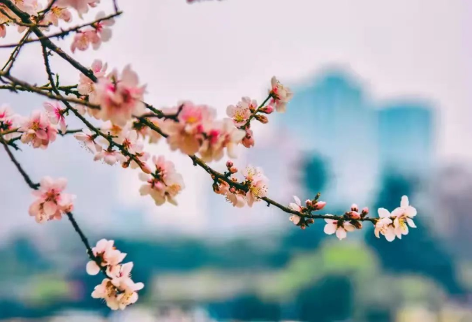 1647304242265664.png 微信截图_20220315075841.png