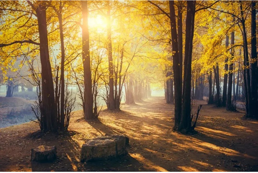 1664153075863948.png 微信截图_20220926084329.png