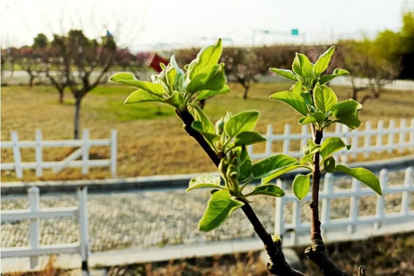 1680924326463995.jpg 微信截图_20230408112253.jpg