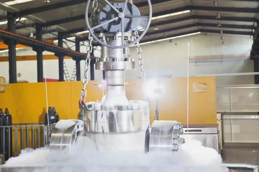 1700471941293562.jpg 640 (3).jpg